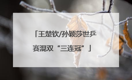 王楚钦/孙颖莎世乒赛混双“三连冠”