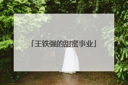 王铁强的甜蜜事业