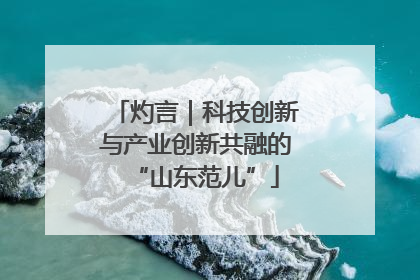 灼言｜科技创新与产业创新共融的“山东范儿”