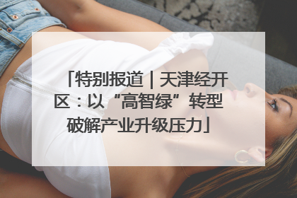 特别报道｜天津经开区：以“高智绿”转型破解产业升级压力