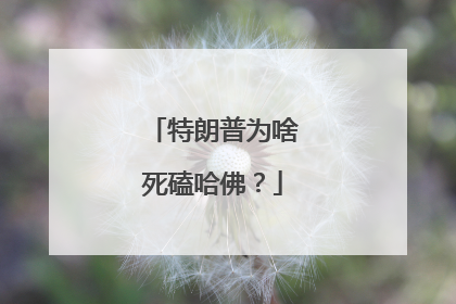 特朗普为啥死磕哈佛？