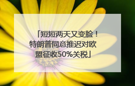 短短两天又变脸！特朗普同意推迟对欧盟征收50%关税