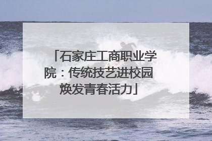 石家庄工商职业学院：传统技艺进校园焕发青春活力