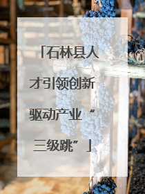 石林县人才引领创新驱动产业“三级跳”