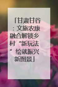 甘肃甘谷：文旅农康融合解锁乡村“新玩法”绘就振兴新图景