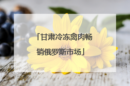 甘肃冷冻禽肉畅销俄罗斯市场