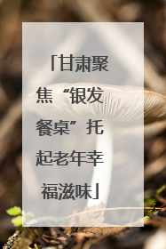 甘肃聚焦“银发餐桌”托起老年幸福滋味