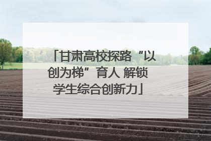 甘肃高校探路“以创为梯”育人 解锁学生综合创新力