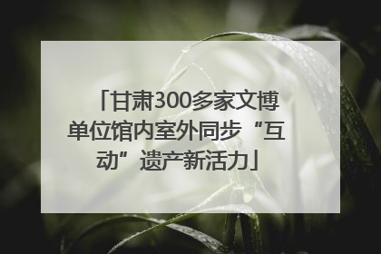 甘肃300多家文博单位馆内室外同步“互动”遗产新活力