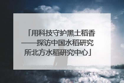 用科技守护黑土稻香——探访中国水稻研究所北方水稻研究中心