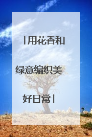 用花香和绿意编织美好日常