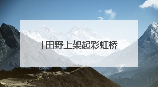 田野上架起彩虹桥：三亚水蛟村“农田+”激活乡村经济