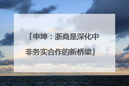 申坤：浙商是深化中非务实合作的新桥梁