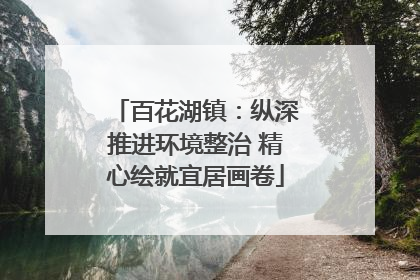 百花湖镇：纵深推进环境整治 精心绘就宜居画卷