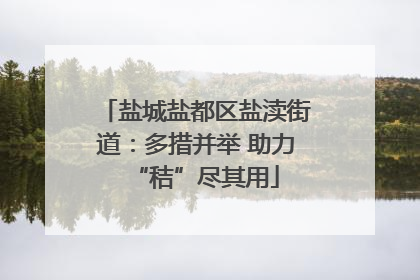 盐城盐都区盐渎街道：多措并举 助力“秸”尽其用