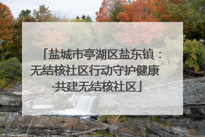 盐城市亭湖区盐东镇：无结核社区行动守护健康 ·共建无结核社区