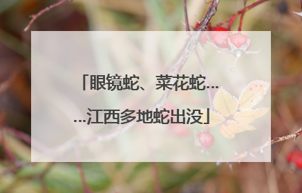 眼镜蛇、菜花蛇……江西多地蛇出没