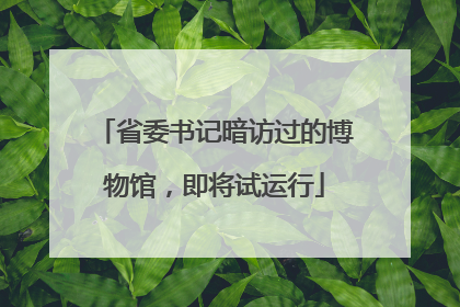 省委书记暗访过的博物馆，即将试运行