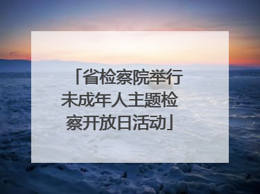 省检察院举行未成年人主题检察开放日活动