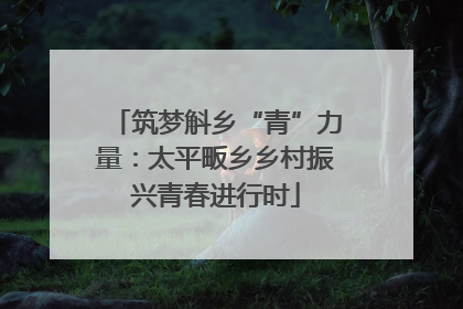 筑梦斛乡“青”力量：太平畈乡乡村振兴青春进行时