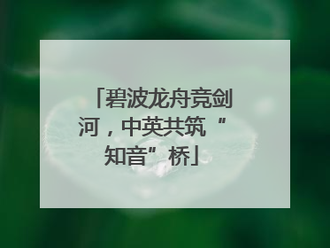 碧波龙舟竞剑河，中英共筑“知音”桥