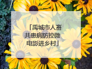 禹城市人畜共患病防控微电影进乡村