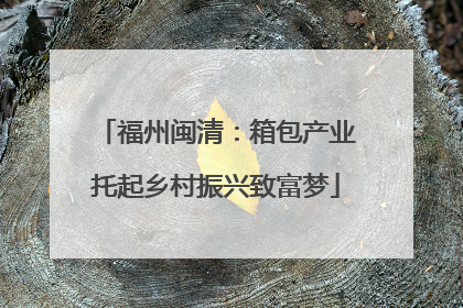 福州闽清：箱包产业托起乡村振兴致富梦
