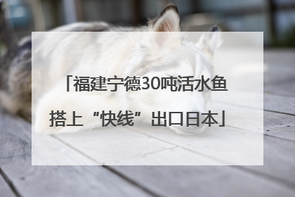 福建宁德30吨活水鱼搭上“快线”出口日本