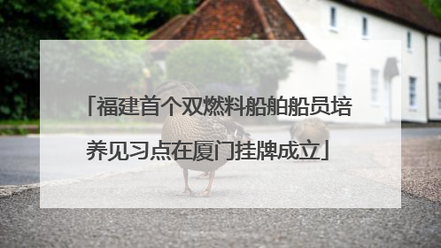 福建首个双燃料船舶船员培养见习点在厦门挂牌成立