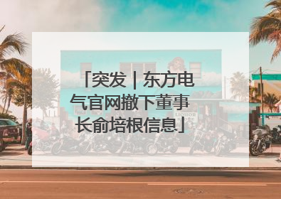 突发｜东方电气官网撤下董事长俞培根信息