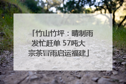 竹山竹坪：晴制雨发忙赶单 57吨大宗茶冒雨启运福建