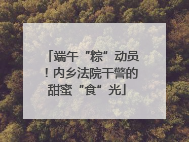 端午“粽”动员！内乡法院干警的甜蜜“食”光