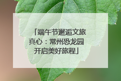 端午节邂逅文旅真心：常州恐龙园开启美好旅程