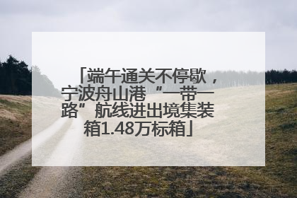 端午通关不停歇，宁波舟山港“一带一路”航线进出境集装箱1.48万标箱