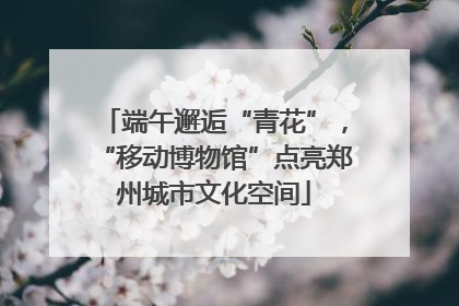 端午邂逅“青花”，“移动博物馆”点亮郑州城市文化空间
