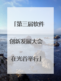 第三届软件创新发展大会在光谷举行