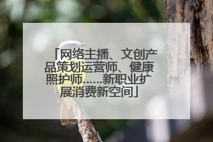 网络主播、文创产品策划运营师、健康照护师……新职业扩展消费新空间