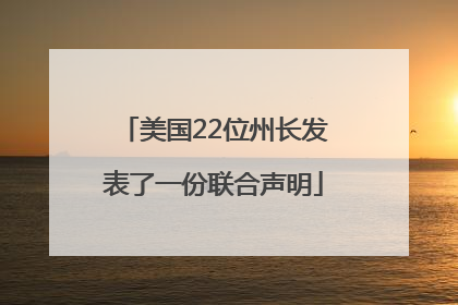 美国22位州长发表了一份联合声明