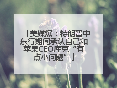 美媒爆：特朗普中东行期间承认自己和苹果CEO库克“有点小问题”