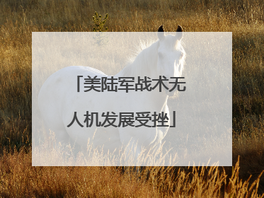 美陆军战术无人机发展受挫