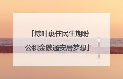 粽叶裹住民生期盼 公积金融通安居梦想