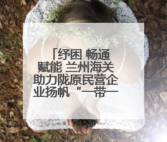 纾困 畅通 赋能 兰州海关助力陇原民营企业扬帆“一带一路”