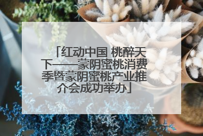 红动中国 桃醉天下——蒙阴蜜桃消费季暨蒙阴蜜桃产业推介会成功举办