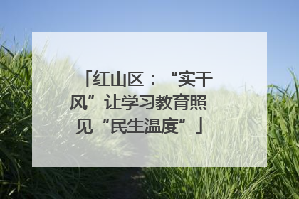 红山区：“实干风”让学习教育照见“民生温度”