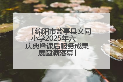 绵阳市盐亭县文同小学2025年六一庆典暨课后服务成果展圆满落幕