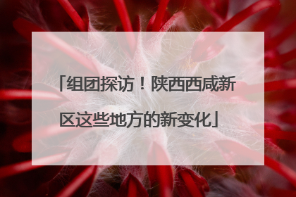 组团探访！陕西西咸新区这些地方的新变化