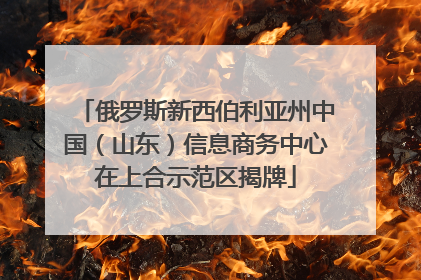 俄罗斯新西伯利亚州中国（山东）信息商务中心在上合示范区揭牌