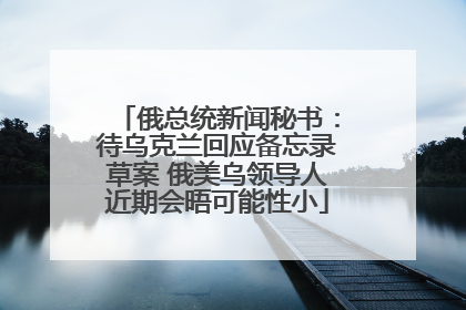 俄总统新闻秘书：待乌克兰回应备忘录草案 俄美乌领导人近期会晤可能性小