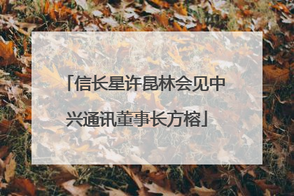 信长星许昆林会见中兴通讯董事长方榕