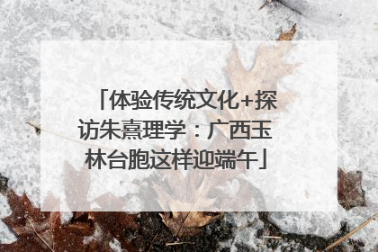 体验传统文化+探访朱熹理学：广西玉林台胞这样迎端午